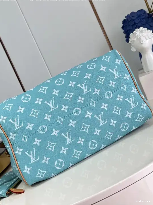 WIS SPEEDY Louis Vuitton 40 0704